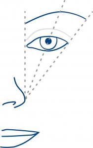 Augenbrauen